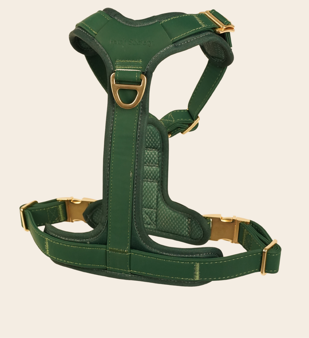 Park Avenue Harness