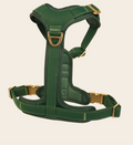 Park Avenue Harness